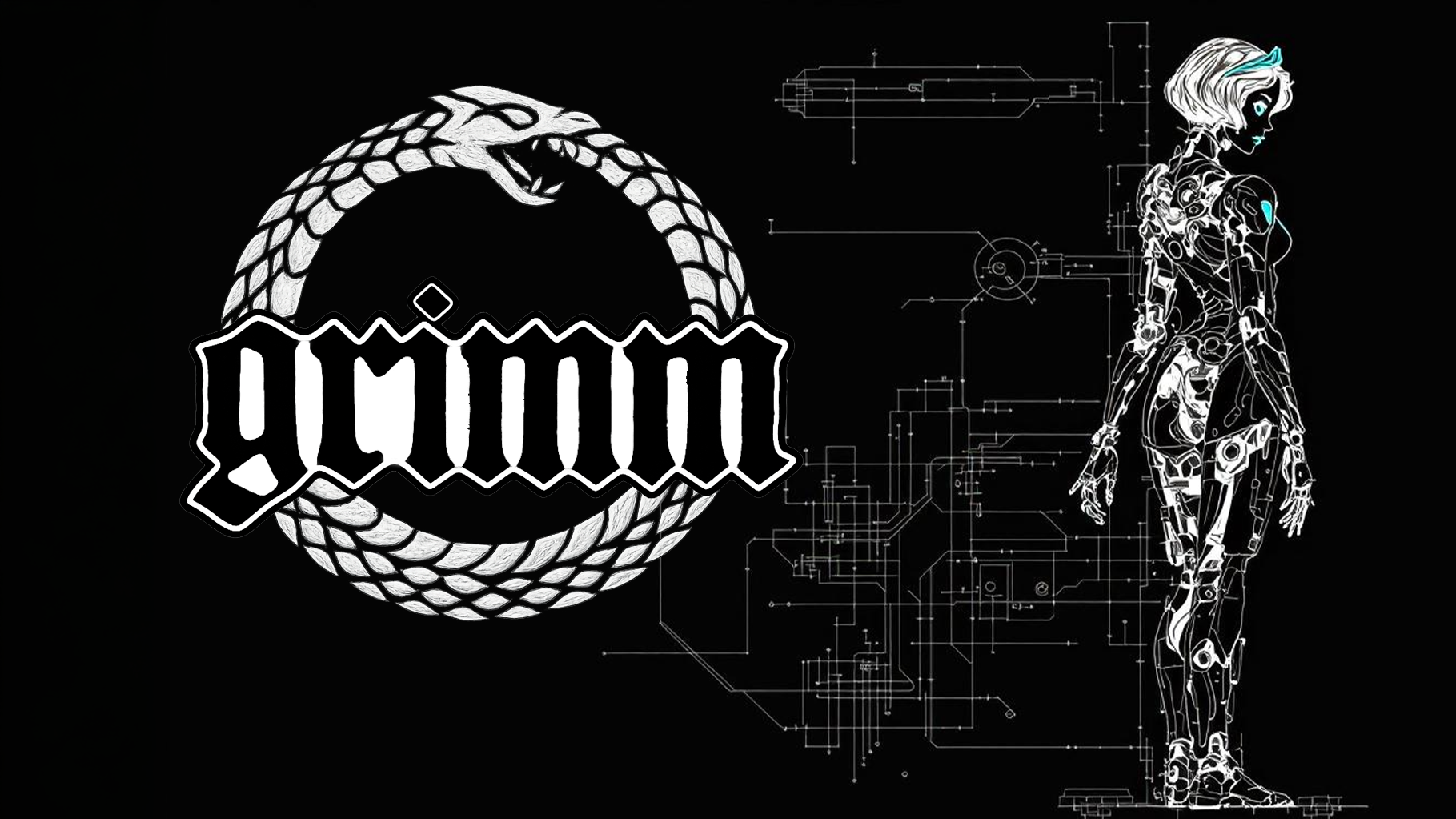 GRIMM IP-Accelerator logo thumbnail